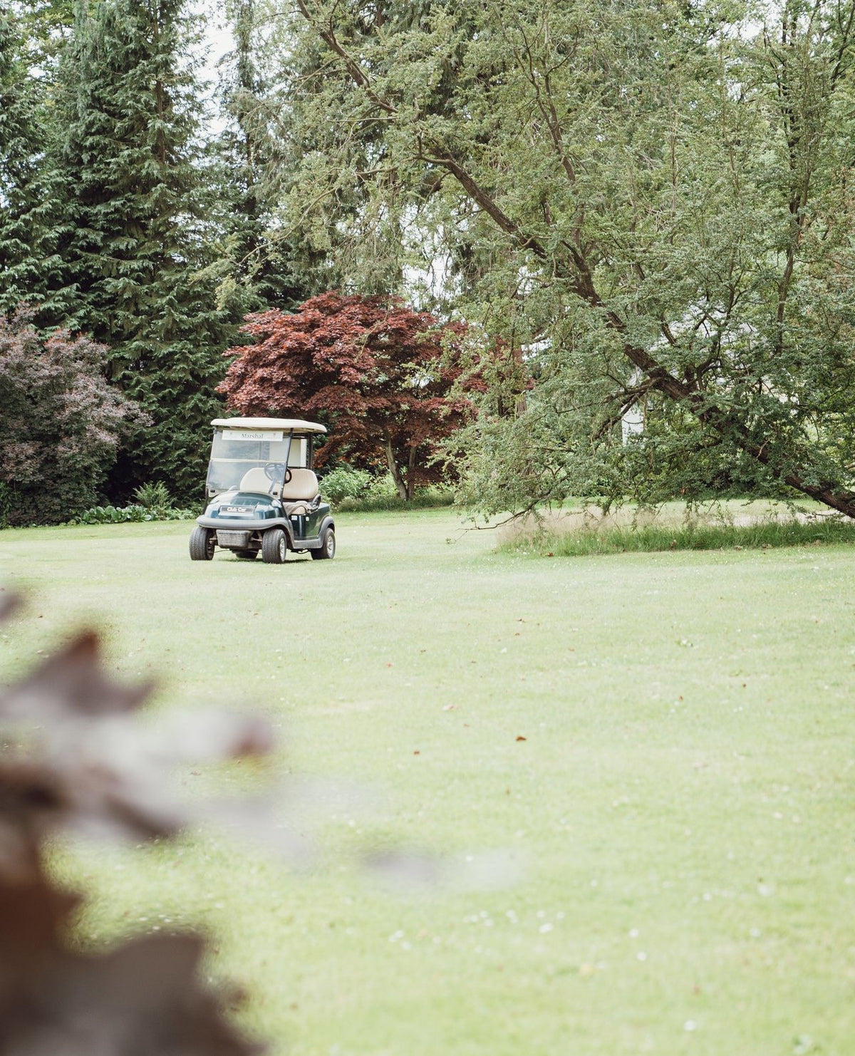 Space on the estate